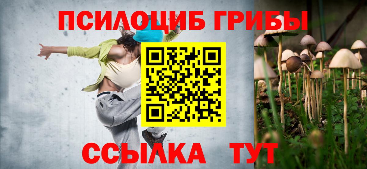 Псилоцибиновые грибы Cubensis Лангепас